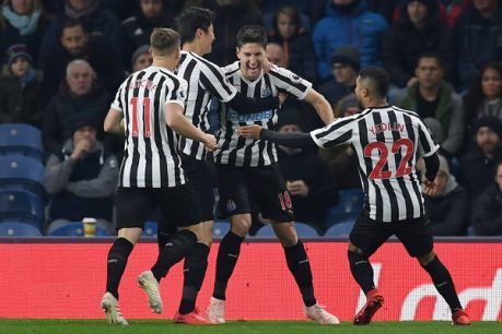 Newcastle vs. Manchester City – Análisis, cuotas y resultados del partido – 29/1/2019