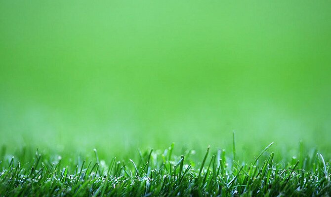 Imagen del césped en el que se disputará el Clásico Nacional Chivas vs América, partido de la jornada del Guardianes 2021