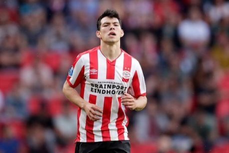 PSV Eindhoven vs. Haugesund – Análisis, cuotas y resultados del partido – 15/8/2019