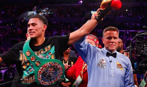 Benavidez vs Andrade: Picks para la última gran cartelera de boxeo del año