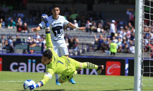 Pumas UNAM vs. Necaxa – Análisis, cuotas y resultados del partido – 28/07/2019