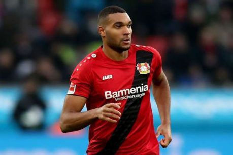 Bayer Leverkusen vs. Schalke 04 – Análisis, cuotas y resultados del partido – 11/5/2019